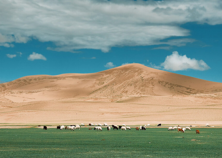 dunes-gobi-mongolie