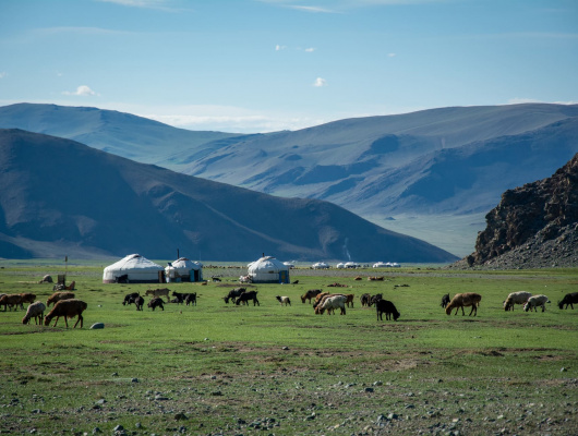 agence voyage mongolie